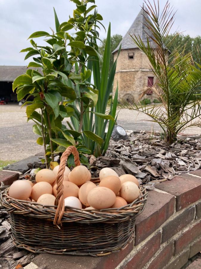 Chambres Dhotes A La Ferme Forest-Montiers المظهر الخارجي الصورة