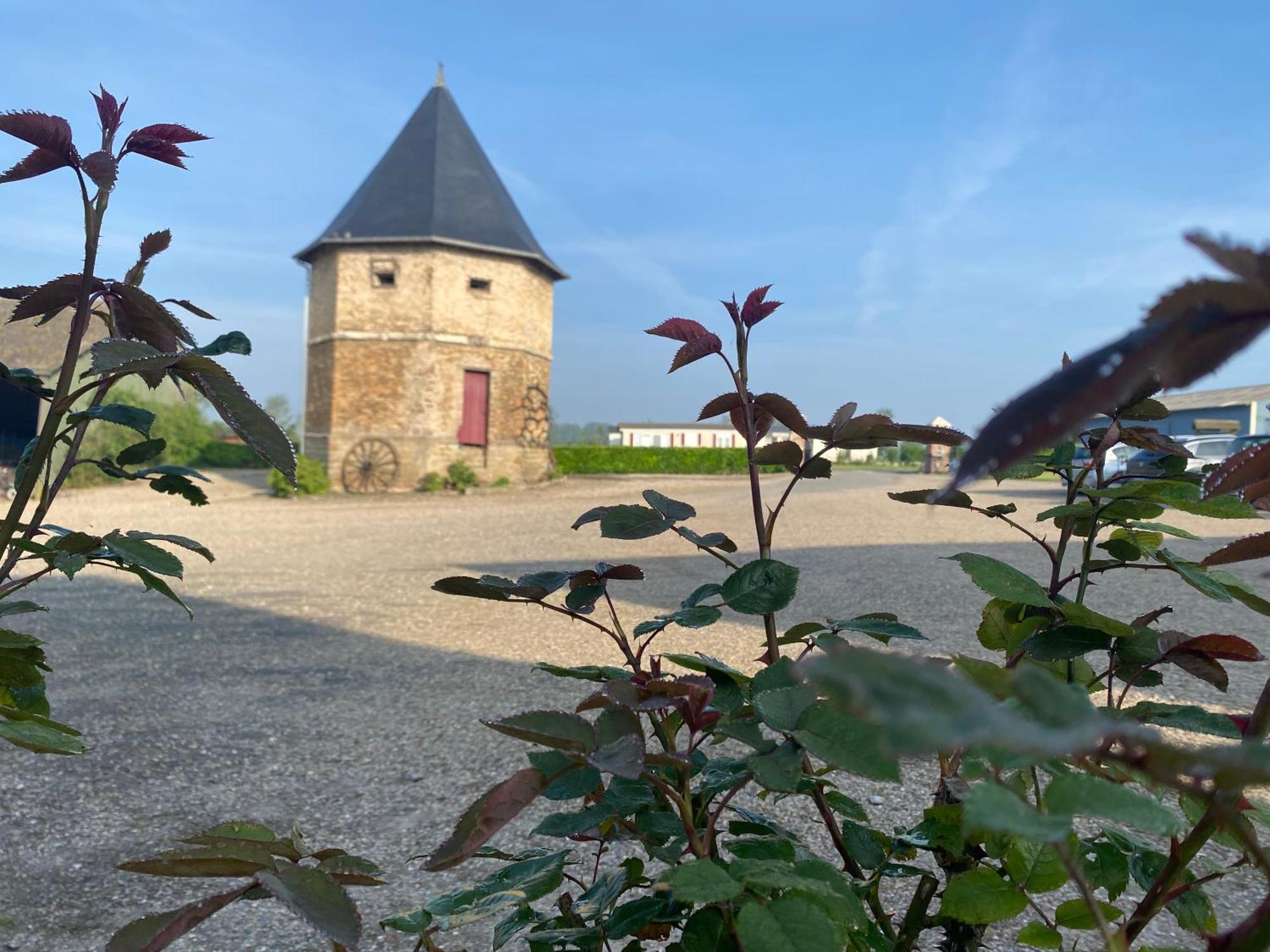 Chambres Dhotes A La Ferme Forest-Montiers المظهر الخارجي الصورة